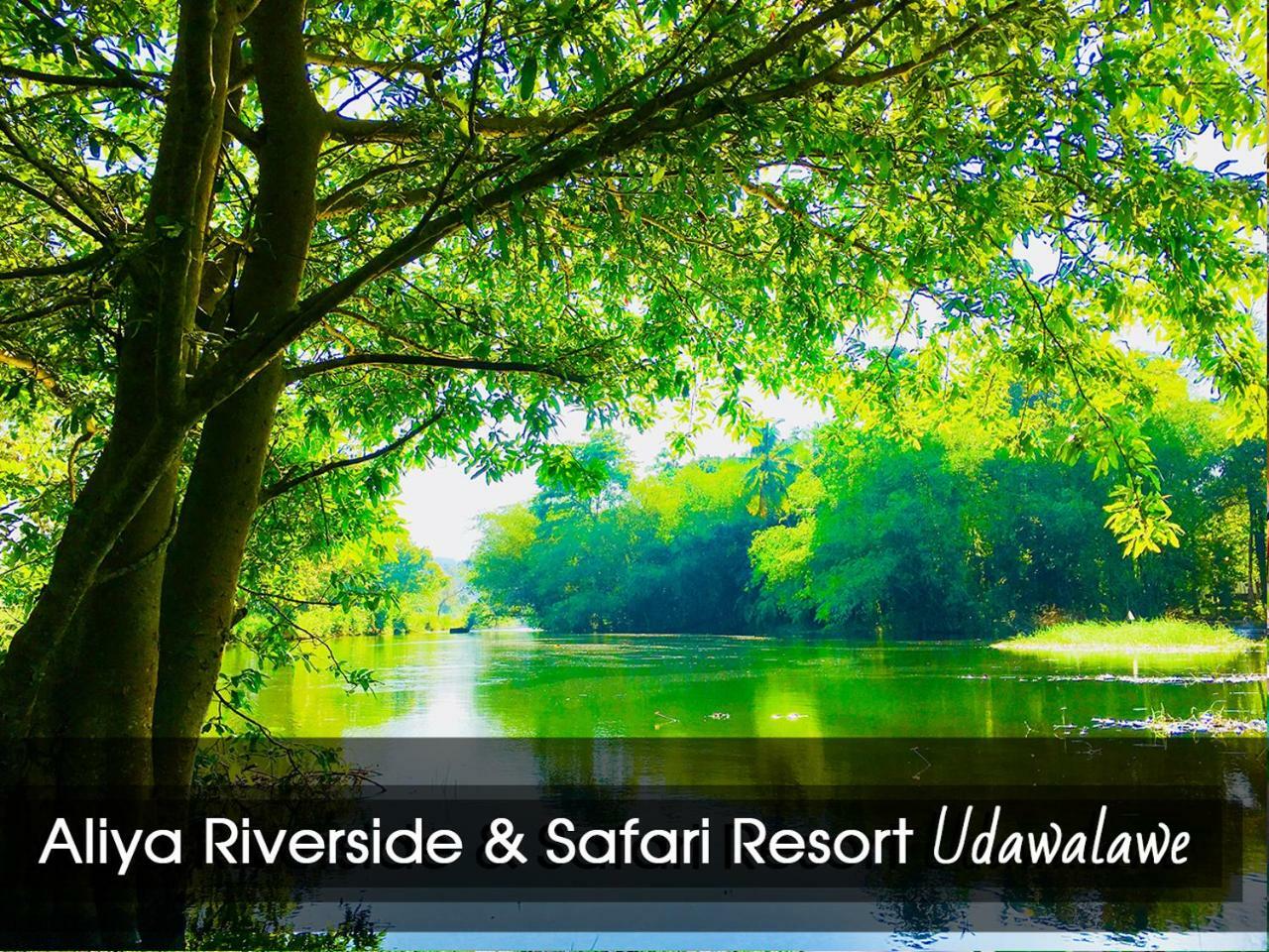 Aliya Riverside & Safari Resort Udawalawe Exteriér fotografie
