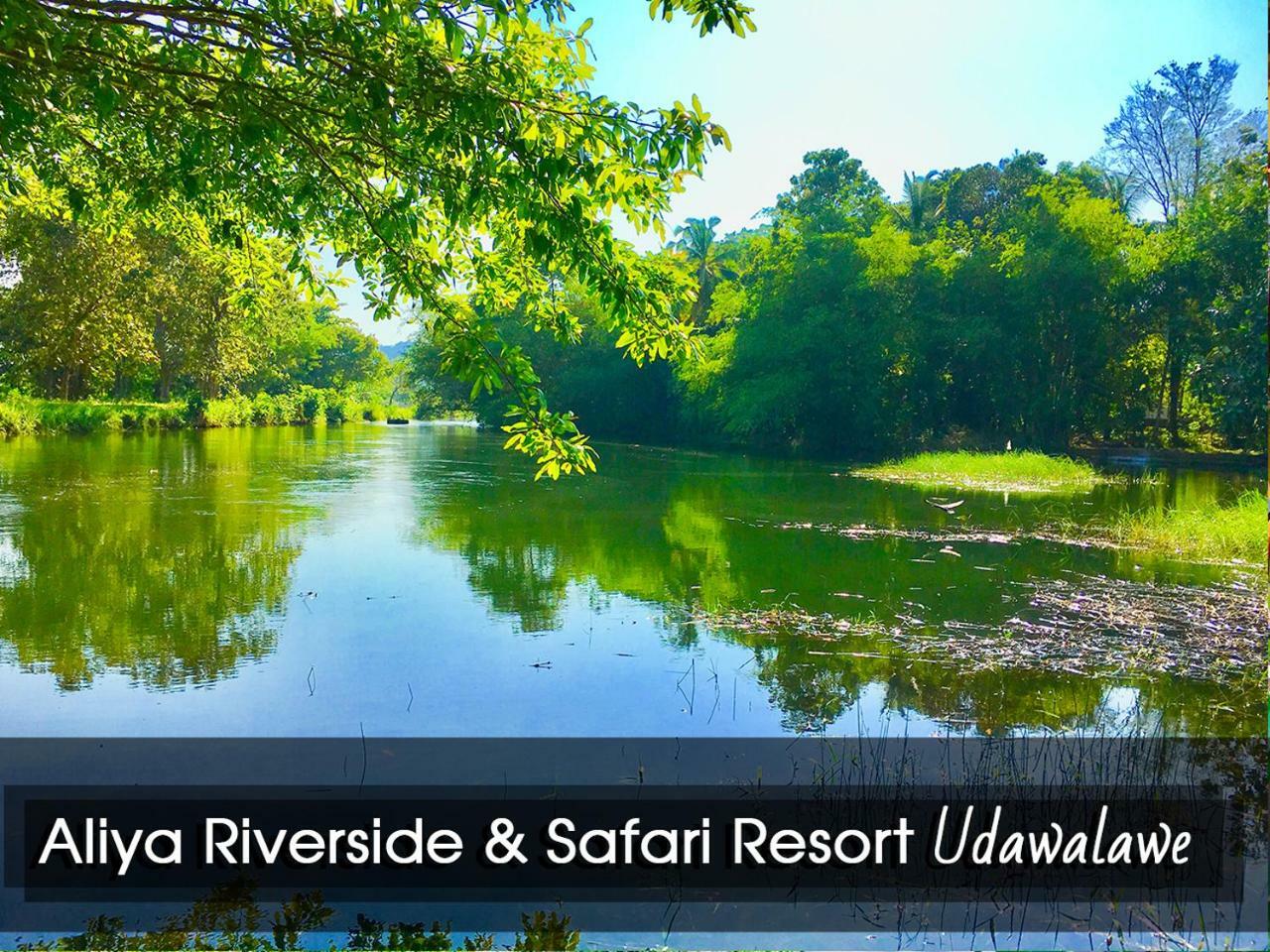 Aliya Riverside & Safari Resort Udawalawe Exteriér fotografie