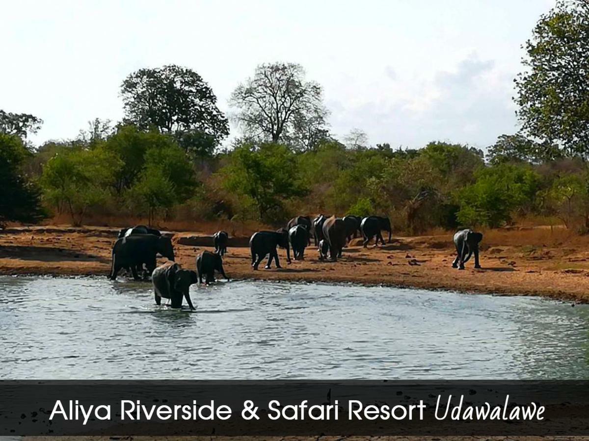Aliya Riverside & Safari Resort Udawalawe Exteriér fotografie