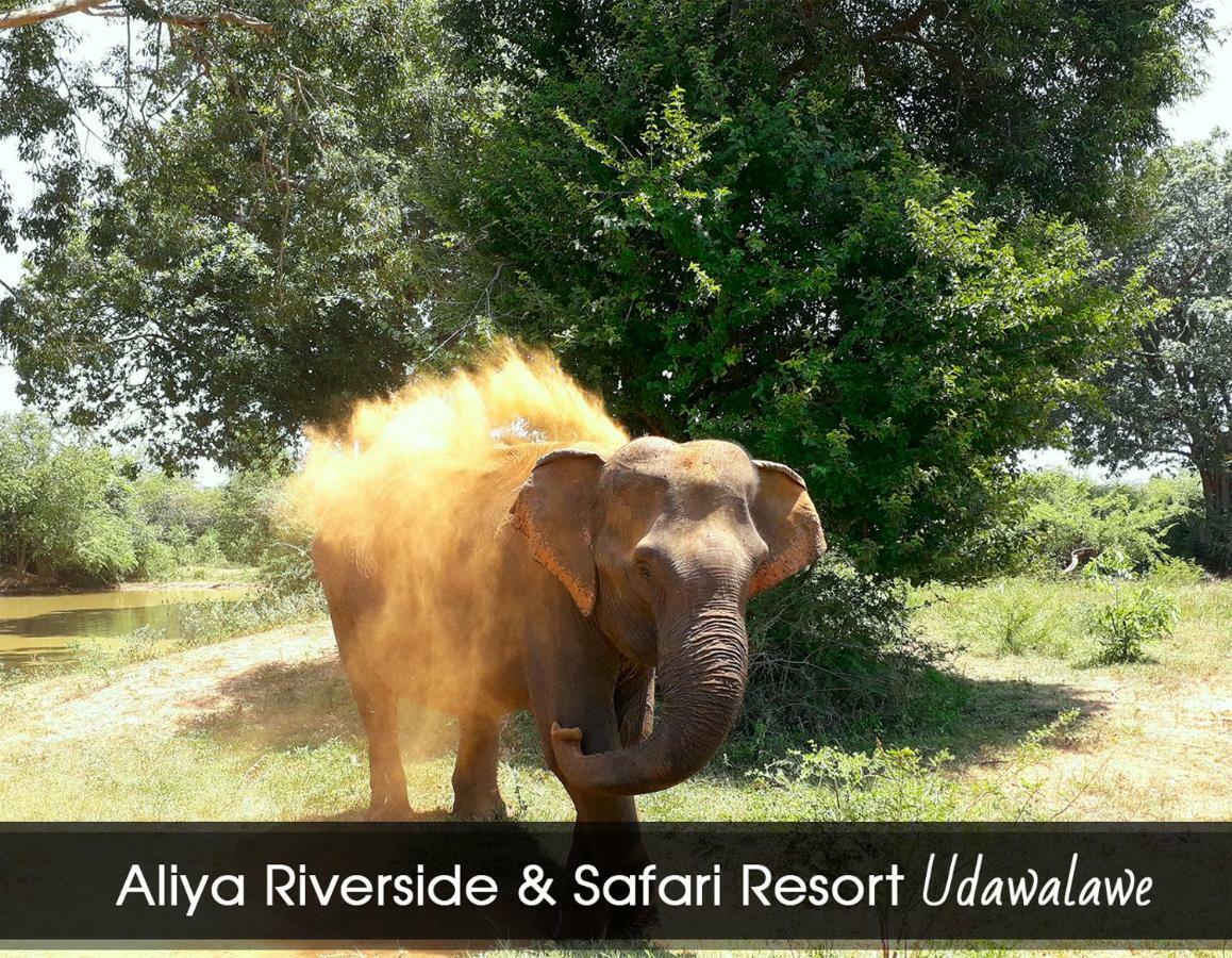 Aliya Riverside & Safari Resort Udawalawe Exteriér fotografie