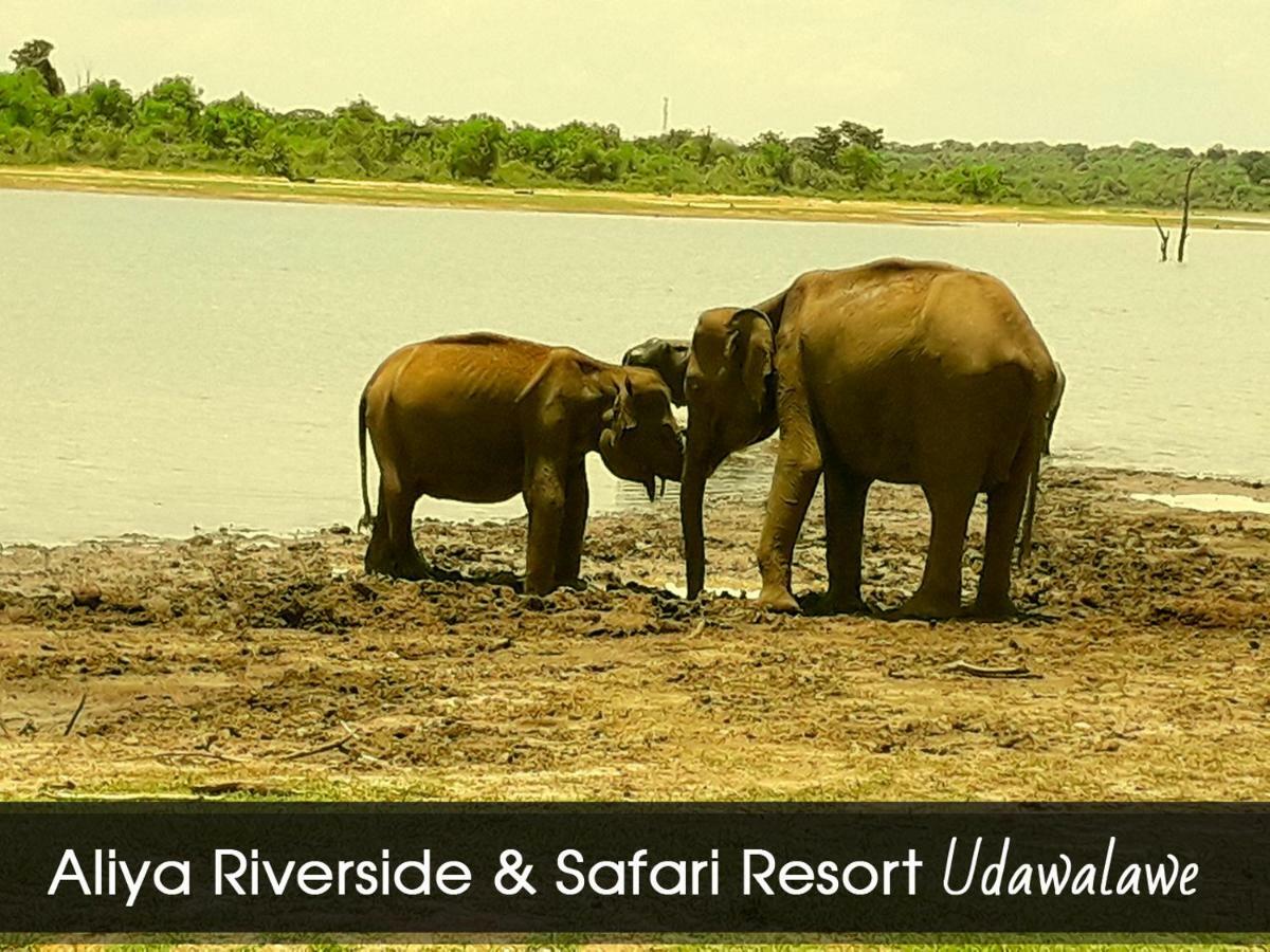 Aliya Riverside & Safari Resort Udawalawe Exteriér fotografie
