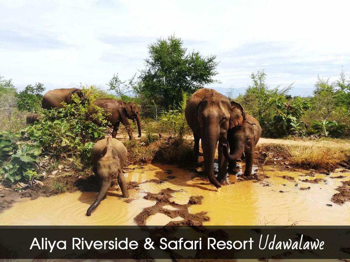 Aliya Riverside & Safari Resort Udawalawe Exteriér fotografie