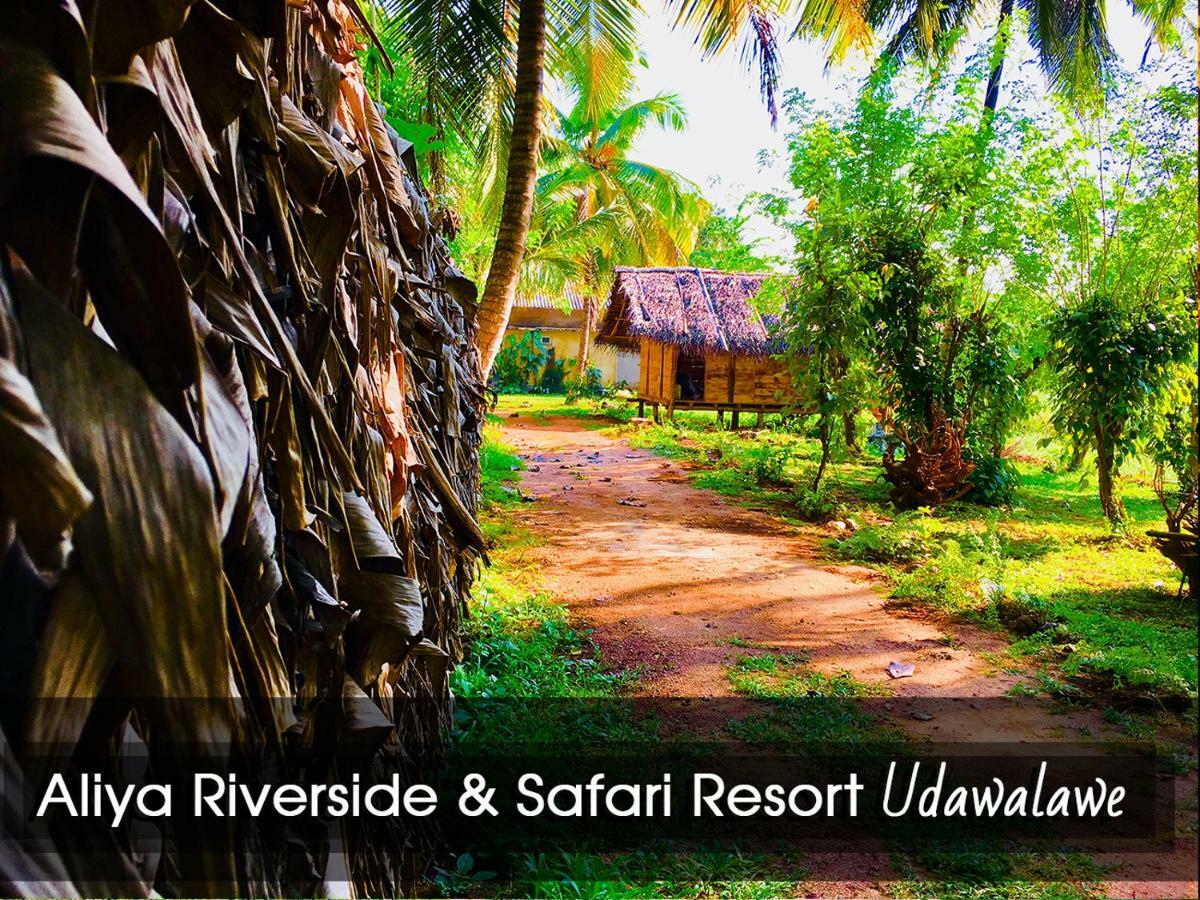 Aliya Riverside & Safari Resort Udawalawe Exteriér fotografie
